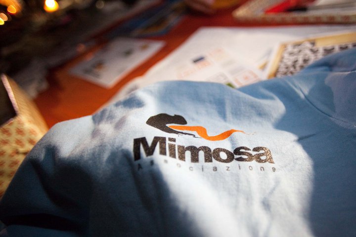 Associazione Mimosa